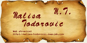 Mališa Todorović vizit kartica